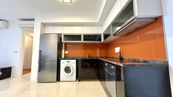 Sant Ritz (D13), Condominium #485038631